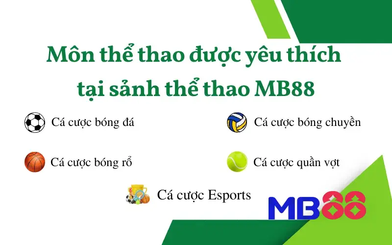 Thể Thao 3 Top bộ môn thể thao được yêu thích tại MB88